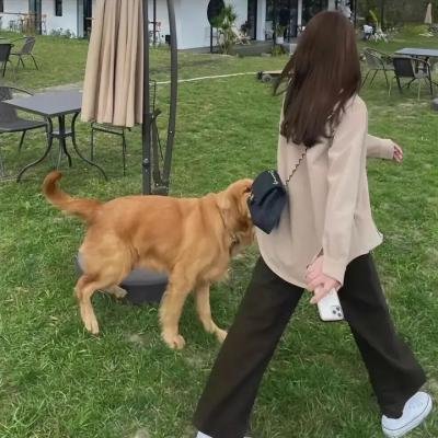 大耳牛小传